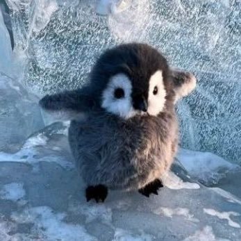 hartenox_'s profile picture. 