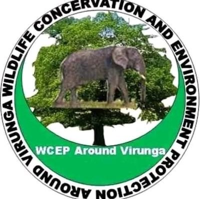 Wildlife Conservation and Environment Protection a