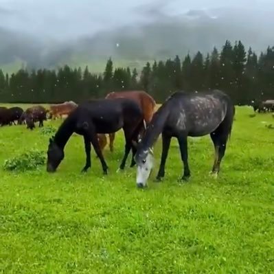 AsmaAbd51337615's profile picture. 