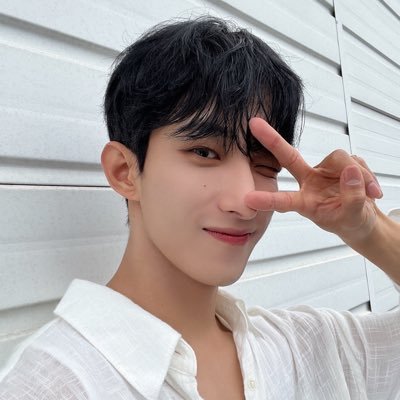 SEVENTEEN ドギョム ⑧ 早くドアお迎えしたいなぁー🩵 #dokyeom #svt #세븐틴