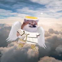 AngelFella (@danielberlinde) Twitter profile photo