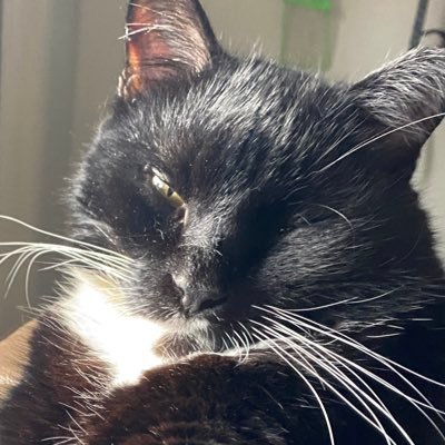 Peanutandtuxx's profile picture. 