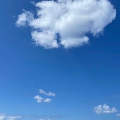 morin0912's profile picture. 