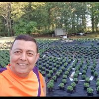 Roland Brad (@rolandbrad5) 's Twitter Profile