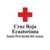 CRUZ ROJA DEL AZUAY (@cruzrojazuay) Twitter profile photo CRUZ ROJA DEL AZUAY (@cruzrojazuay) Twitter profile photo