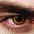 MikelCullen's profile image