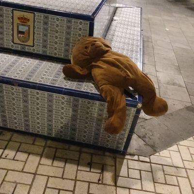 OcaaParrag's profile picture. Disfrutón