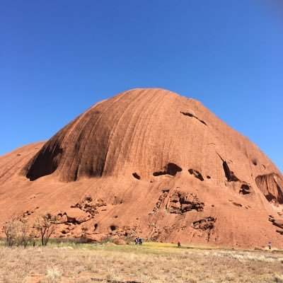 pho_nen's profile picture. A believer in humanity and animal rights.