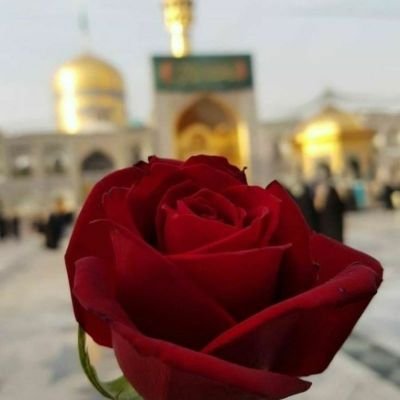 قسمبهوعدهشیرین
مَنْ یمُتْ یرَنِی
کهایستادهبمیرمبهاحترامعلی(ع)