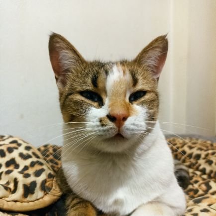 berkeyilmazer_'s profile picture. Hep...