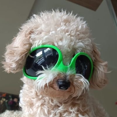 rachelwhoooo's profile picture. pagi misuh, siang misuh, malem misuh