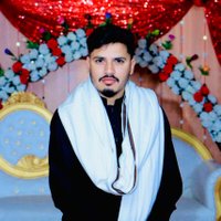 Muhammad Aqib Rafiq(@CAaqib786) 's Twitter Profile Photo