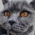 meckimeck (@meckimeck_) Twitter profile photo meckimeck (@meckimeck_) Twitter profile photo