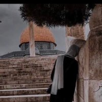 Sara Alrbehat (@sara_alrbehat) 's Twitter Profile