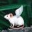 MAY17067531's profile image