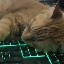 Negarkhh1's profile picture. ☀️💅🏾💘🧚🏾‍♀️