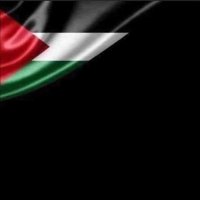 wala zidat (@wzidat) 's Twitter Profile