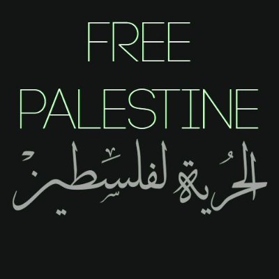 GODragon13's profile picture. Samurai