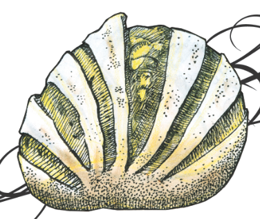 pan_pancracia's profile picture. Chihuahua 181-A Col. Roma Norte. Tel. 6284-1497. Martes a sábado de 9-18 hrs. Domingo 9-16 hrs.