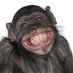 ǝſʞsʎnꓨ (@gnyskje) Twitter profile photo ǝſʞsʎnꓨ (@gnyskje) Twitter profile photo