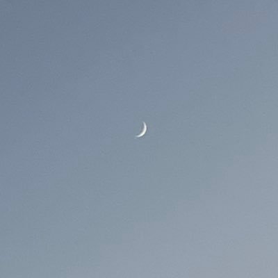 yNpISkt4Gierf9N's profile picture. あまりTwitter見ない
