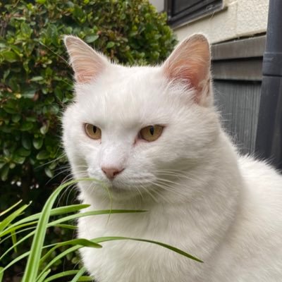 WlZDqnXODYgiYKA's profile picture. 