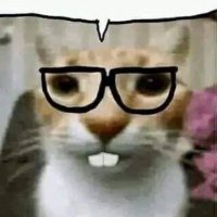 Keith (@keith3480372586) 's Twitter Profile