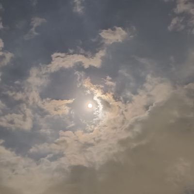 NEKOTOCHI222's profile picture. 