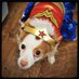 Sherry - 💙 @Comixgrrl.bsky.social (@comixgrrl) Twitter profile photo Sherry - 💙 @Comixgrrl.bsky.social (@comixgrrl) Twitter profile photo