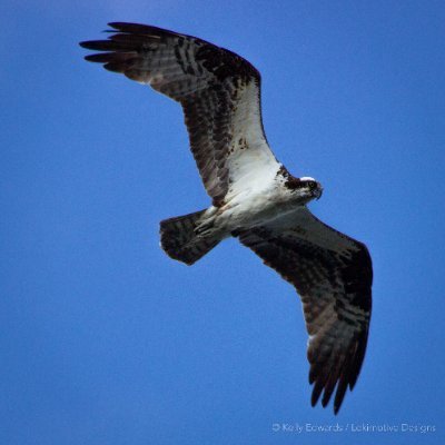 DrIon99's profile picture. #CeasefireNow
#MedicareForAll