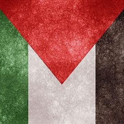 baxter4ymn's profile picture. 😎