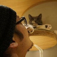 猫之助(@nekonosuke0716) 's Twitter Profile Photo
