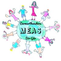 Carmarthenshire MEAS 🧡 (@carms_meas) 's Twitter Profile