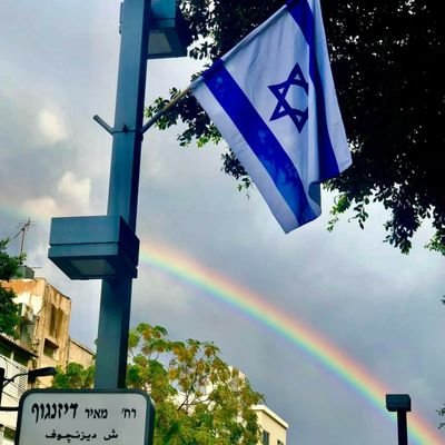 Zionist 
Jewish ✡ 
pro Israel 🇮🇱 🟦