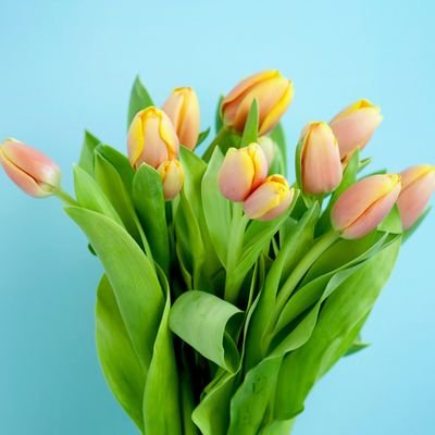 Chinese native speaker, I can help you speak Chinese.