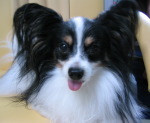 sachieさんのプロフィール画像