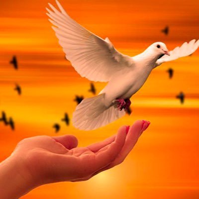 ParoleLibre34's profile picture. 