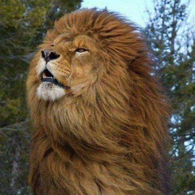 Serafin845k's profile picture. X somos chavos.                En este perfil no seguimos mujeres desnudas faltas de atención.