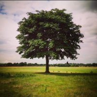 OWPS_forestschool (@owps_forest) 's Twitter Profile Photo OWPS_forestschool (@owps_forest) 's Twitter Profile Photo
