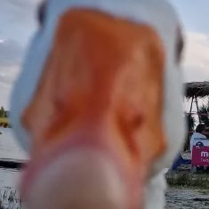 ej_DYM's profile picture. 