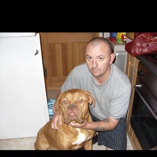 petethegooner31's profile picture. Love my cricket and a big Arsenal fan