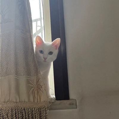 _chili9527's profile picture. 