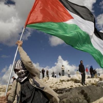 esrakarakasisra's profile picture. 
