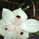 Sally Sutherland - @Sal1918 - Twitter