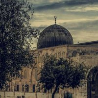 Zou Bajwa 🇵🇰🇵🇸 (@zoubajwa) 's Twitter Profile Photo
