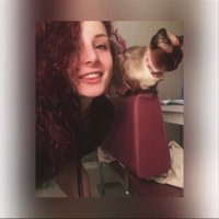 dilamp🐘 (@gamzecimdilan) 's Twitter Profile