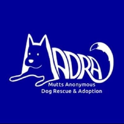 MADRA Mutts Anonymous Dog Rescue & Adoptionさんのプロフィール画像