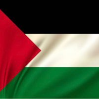 Ragab Dardery (@darderyragab) 's Twitter Profile