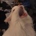 em (@virgo_cats) Twitter profile photo