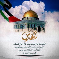 نـَاصـِر (@oman81384) 's Twitter Profile